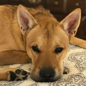 Meet your Posher, Tara